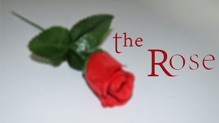 The Rose by Sandro Loporcaro (Amazo) - Video Download